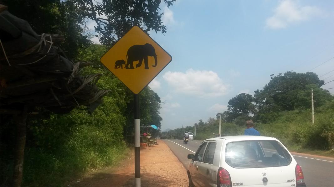 Auf dem Weg nach Anuradhapura