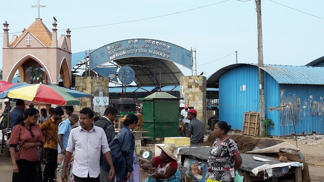 Negombo Fish Market