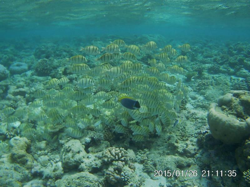 Biyadhoo Reef