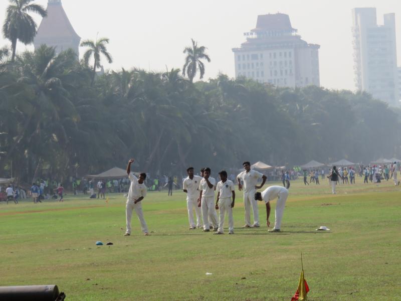 Volkssport Cricket 