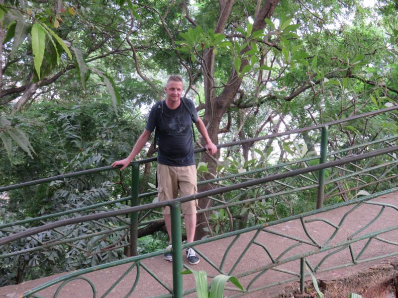 Hanging Garden