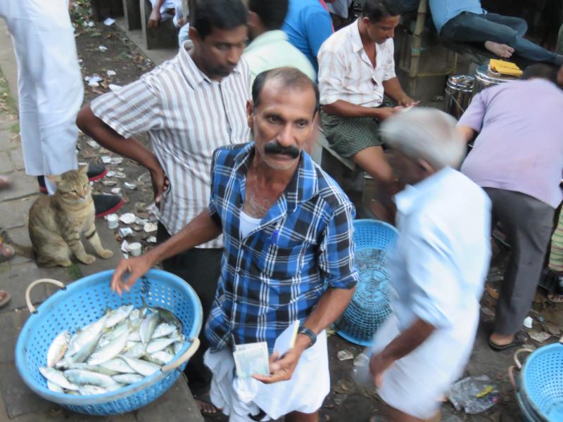 Fischer in Kochi