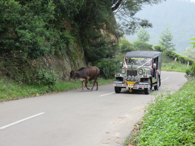 Traffic Police
