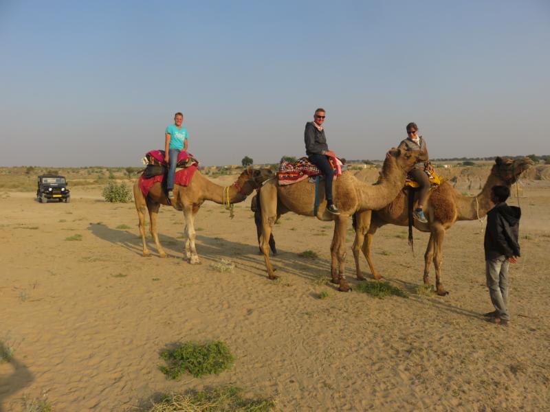 Camel Safari bei Jaisalmer