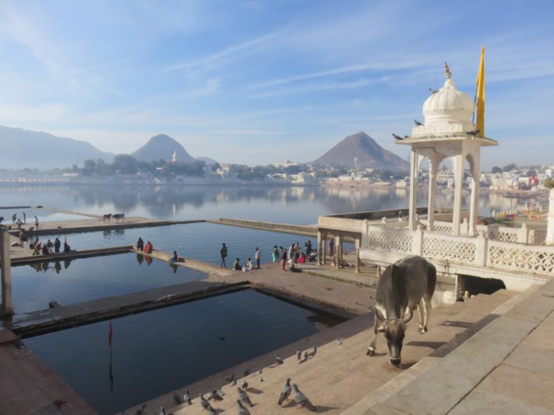 "Holy City" Pushkar