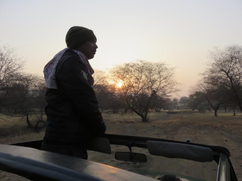 Ranthambore National Park Safari
