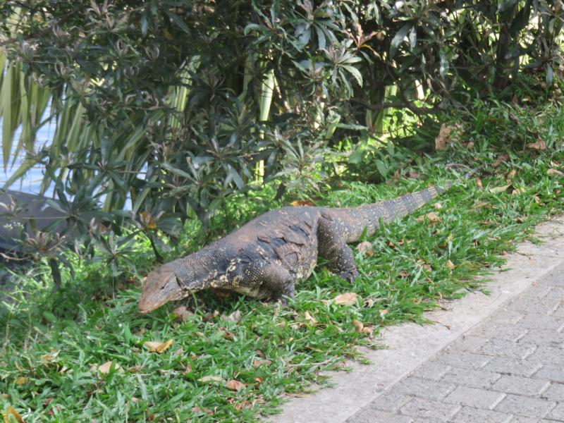 Am Kandy Lake